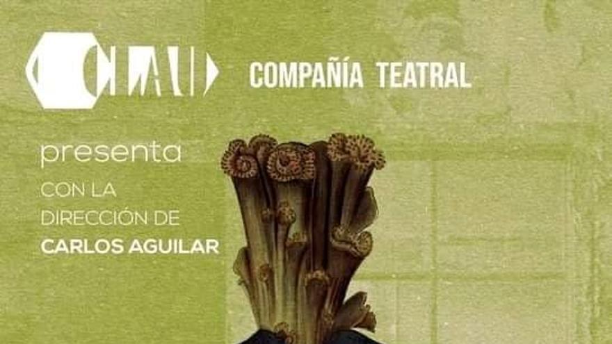 Cartel promocional de la obra La Casa de Bernarda Alba a cargo de la compañía Clau. (Facebook)
