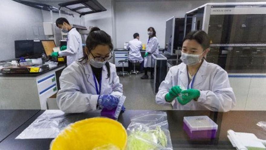 El Gobierno del país asiático anunció poco después una inmediata investigación del proyecto del científico y amenazó con posibles medidas legales. (EFE)