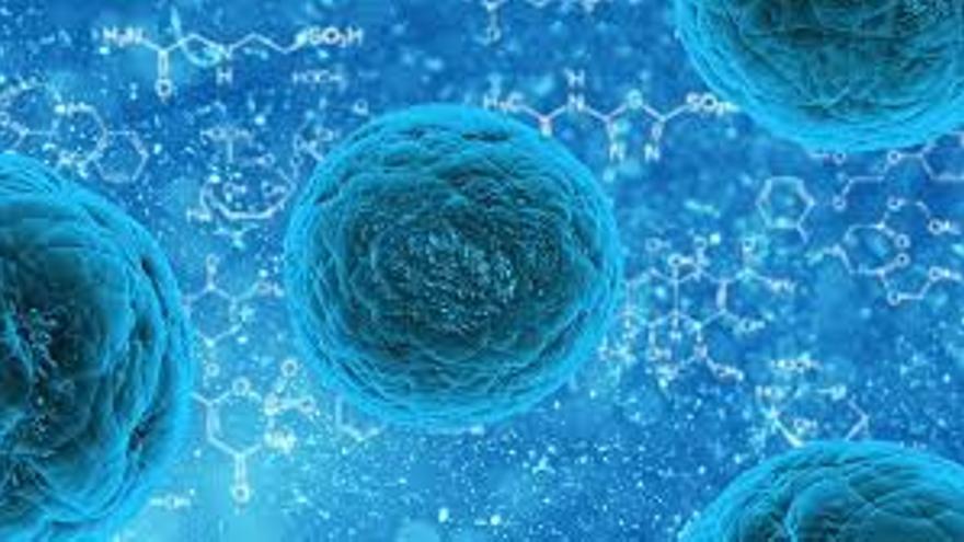 Los especialistas debatirán sobre novedades en las técnicas de diagnóstico y terapia de células madre en el tratamiento de la esclerosis múltiple. (pixabay)
