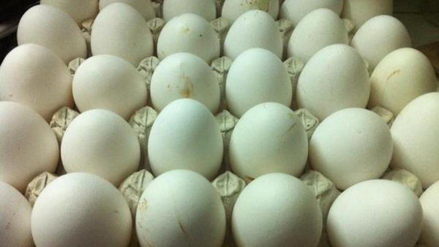 Cartón de huevos con treinta unidades (14ymedio)