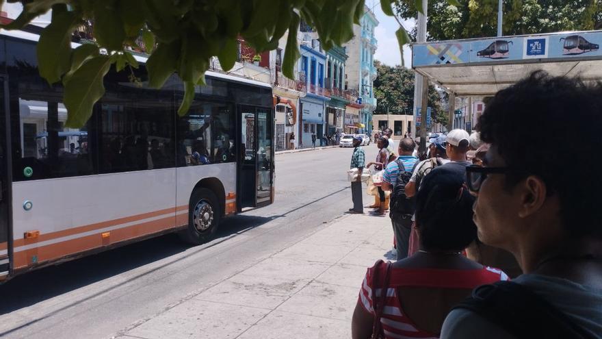 Havana will condition the Belgian buses in the face of complaints about the unbearable heat