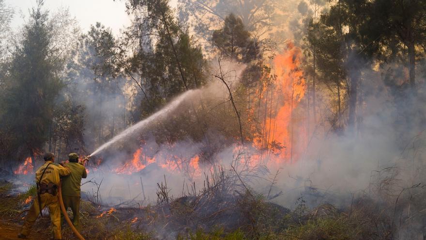 En Cuba, el período crítico de incendios forestales es del 1 de enero al 31 de mayo, coincidente con la época de mayor sequía. (Emilio Rodríguez Pupo/Facebook)