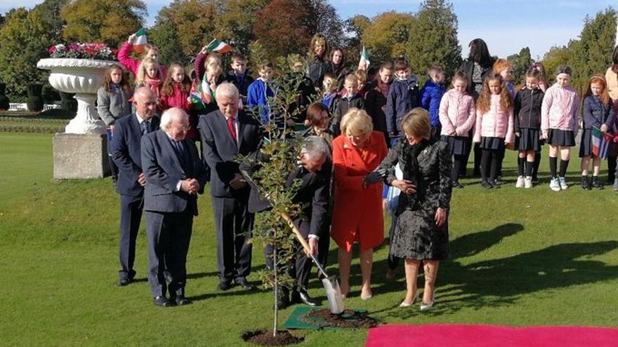 Díaz-Canel planta un roble, símbolo de la amistad en Irlanda, en los jardines de la residencia del jefe de Estado. (presidencia Cuba)