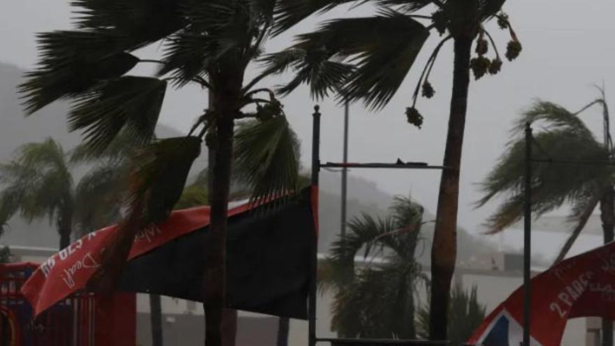Fotografía de archivo que muestra el movimiento de las palmeras por el paso de una tormenta por Puerto Rico. (EFE)
