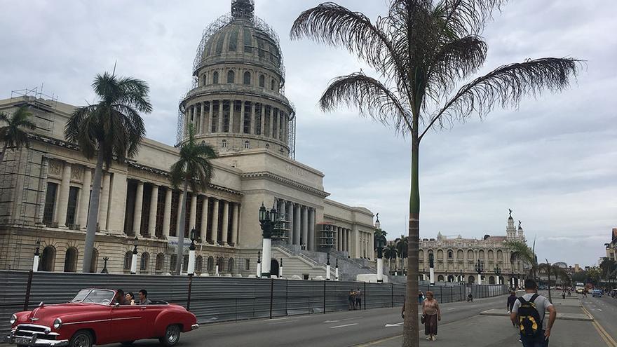 Frente al Capitolio de La Habana han vuelto a sembrar seis palmas reales, después de que murieran las anteriores. (14ymedio)