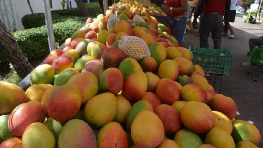 El Gobierno cubano destina las frutas consideradas selectas para la exportación y los establecimientos turísticos. (Cubasi)
