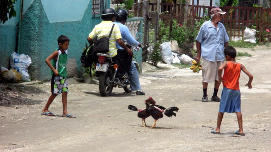 Niños en una pelea de gallo en las calles de Holguín. (14ymedio)