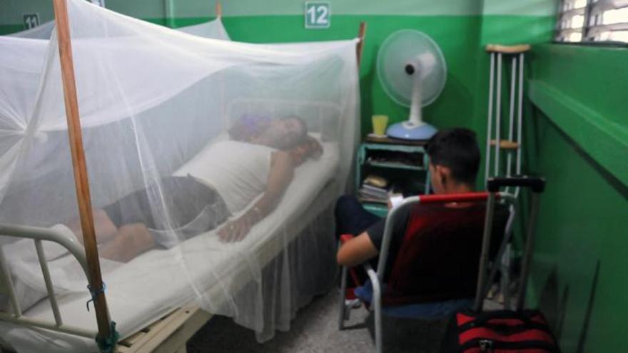 Según la OPS, los casos de dengue se han incrementado en la primera mitad del año en un 300%. (Granma)