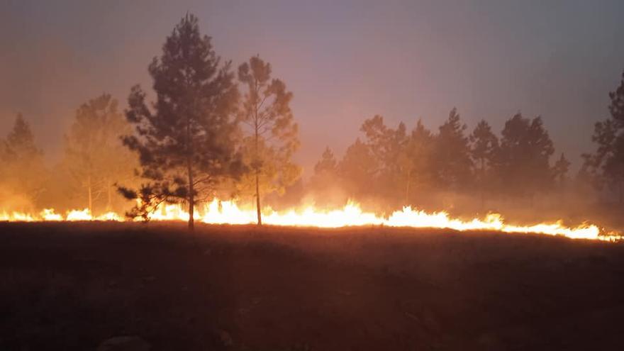 El incendio, en Pinares de Mayarí, es el segundo en Holguín en un mes. (Emilio Rodríguez Pupo)