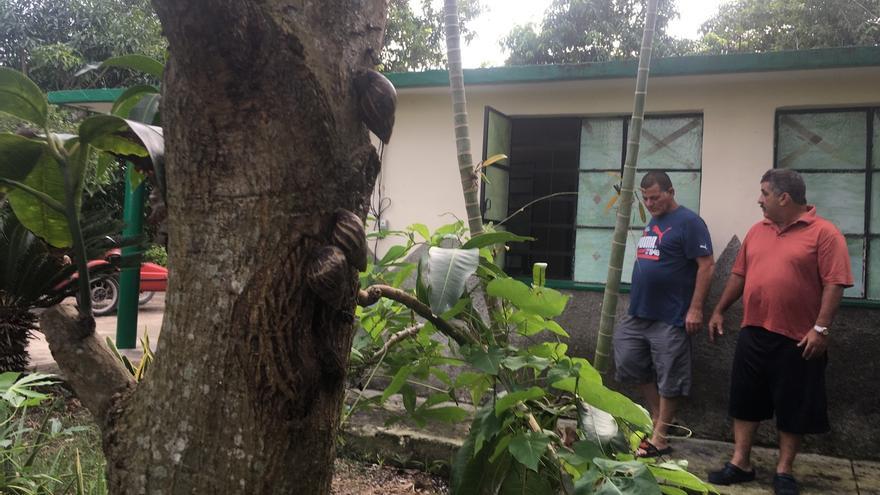 El la finca Santa Ana, del habanero municipio Arroyo Naranjo, los residentes están desesperados por encontrar una solución a la plaga de caracoles africanos. (14ymedio)