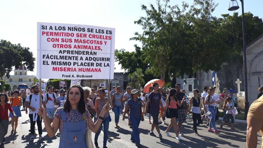 Una activista porta un letrero contra el maltrato animal en Cuba. (14ymedio)