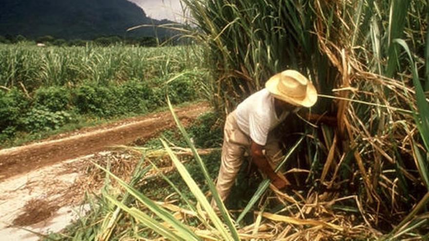 La zafra azucarera en Villa Clara no podrá alcanzar los niveles de 2016 (CC)