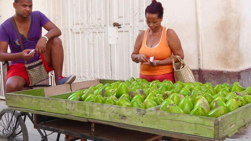 El precio del aguacate está convirtiendo en inalcanzable un fruto que en Cuba estaba presente en la mayoría de las mesas. (Martina Badini)