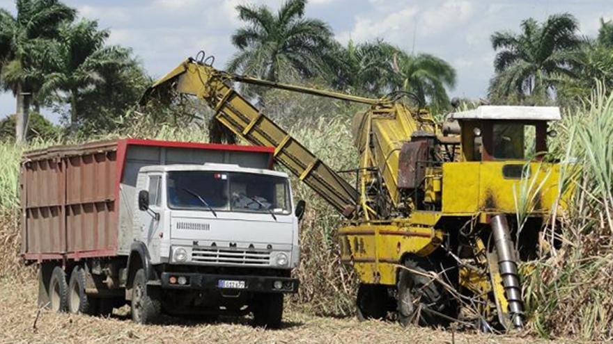 La industria del azúcar fue un importante músculo económico en Cuba, pero sufrió una drástica caída productiva a partir de la década de 1990. (Granma)