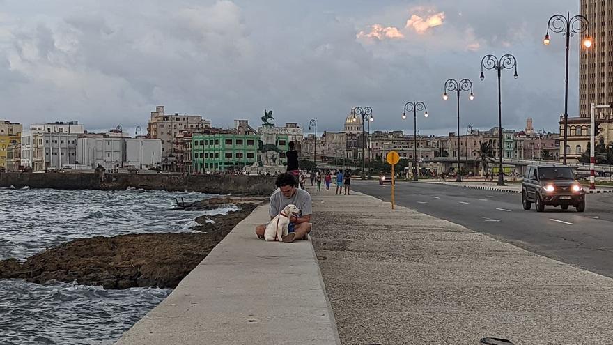 Un joven sentado junto a su mascota en el Malecón de La Habana a finales de septiembre de 2021. (14ymedio)