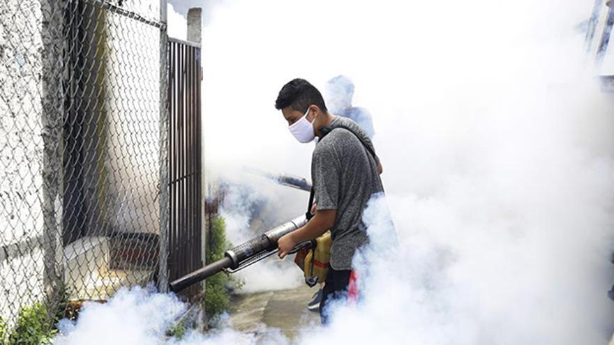 América combate los mosquitos transmisores del dengue con fumigaciones. (EFE)