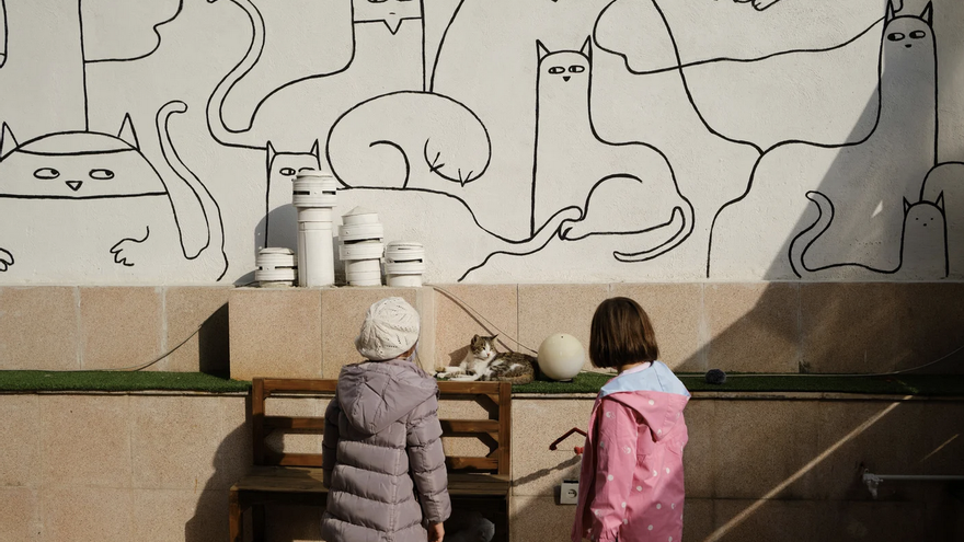 Dos niñas juegan con un gato en el café Museo del Gato Persa en Teherán. (EFE/Jaime León)