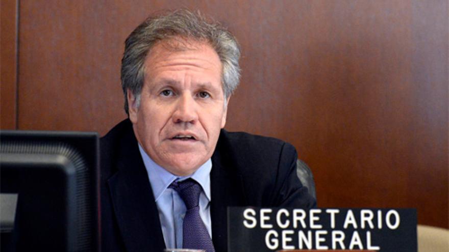 El secretario general de la Organización de Estados Americanos, Luis Almagro. (OEA)