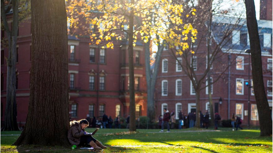 Una estudiante lee bajo un árbol en el campus de la Universidad de Harvard en Cambridge (EFE/CJ GUNTHER/Archivo)