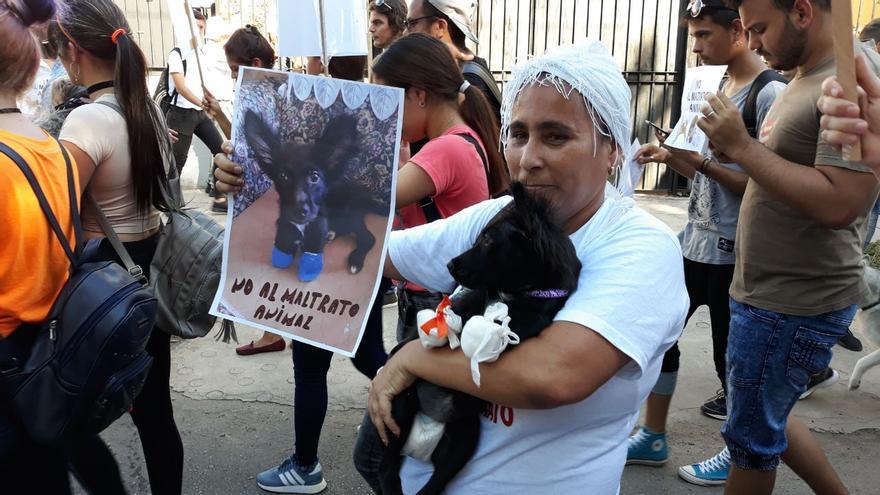 Milagro González, veterana de la causa contra el maltrato animal y protectora desde hace dos décadas. (14ymedio)