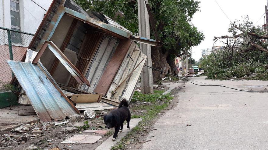 La barriada de LuyanÃ³ fue una de las mÃ¡s afectadas por los fuertes vientos del tornado. (14ymedio)