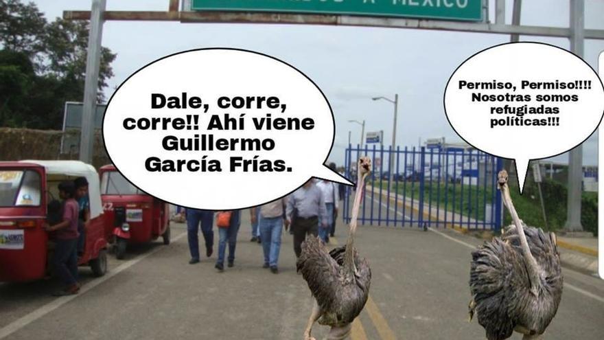 Esta semana los protagonistas son los avestruces, las jutías y los cocodrilos que, según el comandante Guillermo García Frías, ayudarán a resolver el problema de los alimentos en Cuba.